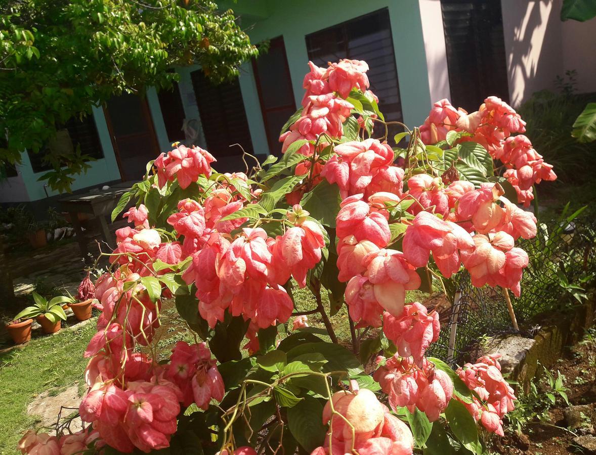 Villy'S Cottage North End Εξωτερικό φωτογραφία